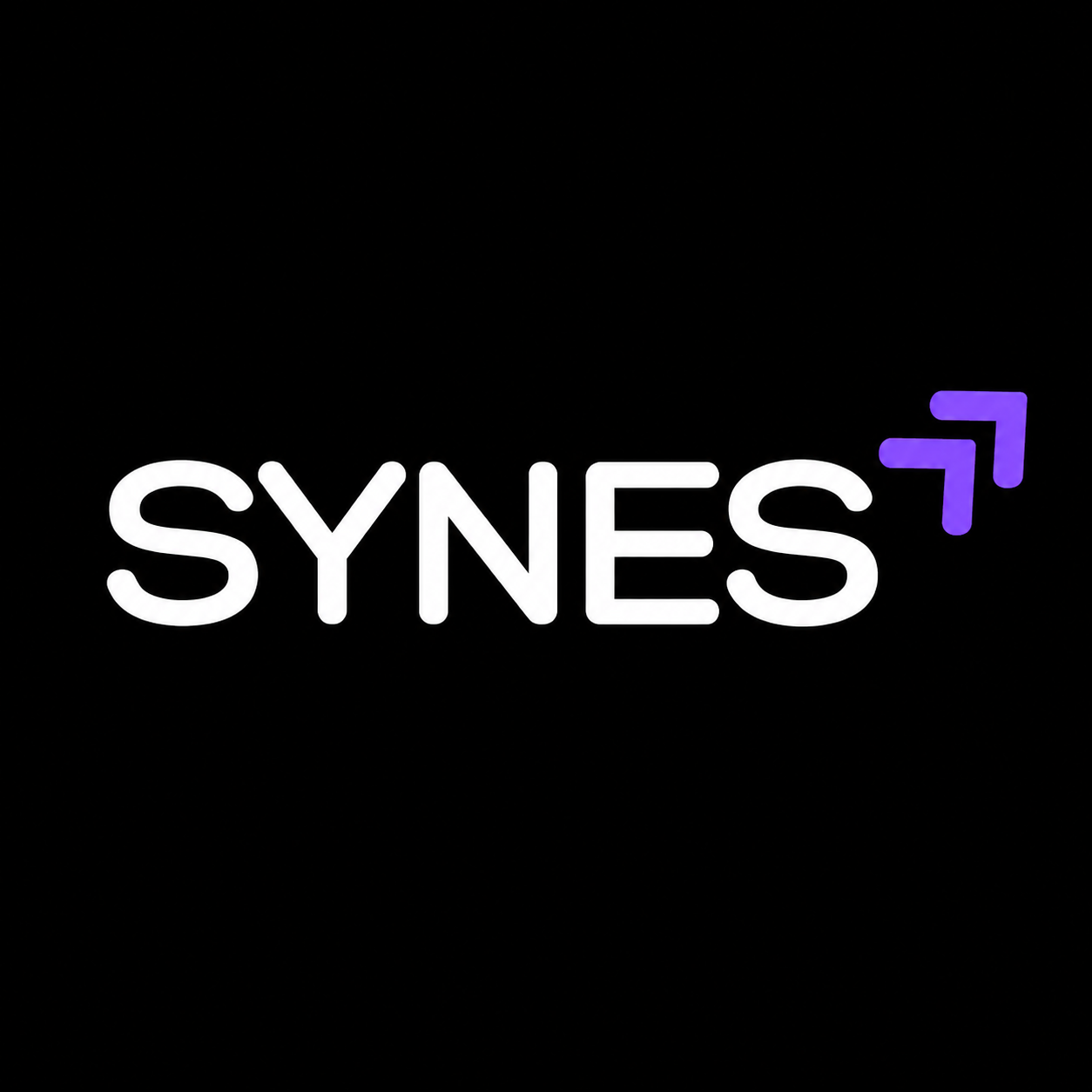 Synes Company